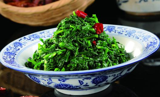 這些野菜能養生你認識幾種？