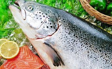 【三文魚】_三文魚的營養價值,三文魚怎么做好吃,三文魚的做法大全 【三文魚】_三文魚的營養價值,三文魚怎么做好吃,三文魚的做法大全