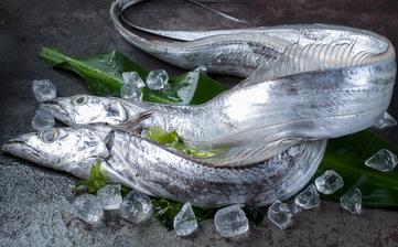【帶魚】_帶魚的營養(yǎng)價值,帶魚怎么做好吃,帶魚的家常做法大全 【帶魚】_帶魚的營養(yǎng)價值,帶魚怎么做好吃,帶魚的家常做法大全