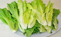 白菜有多種 哪種白菜營養更高？