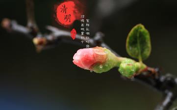 【清明節氣】清明是幾月幾日_清明吃什么_清明養生_清明是什么意思 【清明節氣】清明是幾月幾日_清明吃什么_清明養生_清明是什么意思