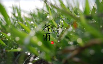 【谷雨節氣】谷雨是幾月幾日_谷雨吃什么_谷雨養生_谷雨是什么意思 【谷雨節氣】谷雨是幾月幾日_谷雨吃什么_谷雨養生_谷雨是什么意思