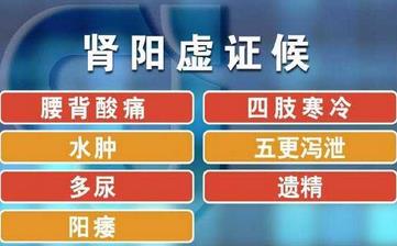 【腎陽(yáng)虛】腎陽(yáng)虛的表現(xiàn)_腎陽(yáng)虛吃什么_腎陽(yáng)虛的原因_腎陽(yáng)虛的癥狀 【腎陽(yáng)虛】腎陽(yáng)虛的表現(xiàn)_腎陽(yáng)虛吃什么_腎陽(yáng)虛的原因_腎陽(yáng)虛的癥狀