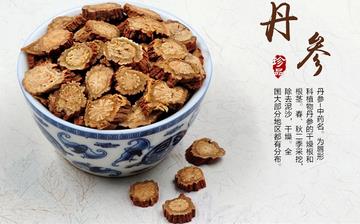 【丹參】丹參的功效與作用_丹參片的功效_丹參的藥用價值和副作用 【丹參】丹參的功效與作用_丹參片的功效_丹參的藥用價值和副作用