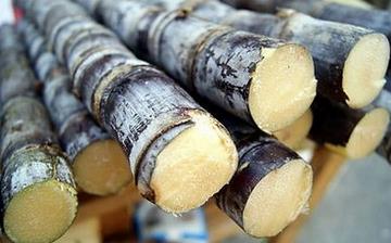 【甘蔗】甘蔗的功效與作用,甘蔗上火嗎,甘蔗怎么吃,甘蔗是什么 【甘蔗】甘蔗的功效與作用,甘蔗上火嗎,甘蔗怎么吃,甘蔗是什么
