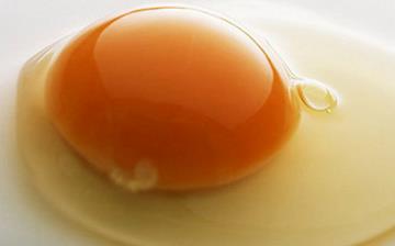 【雞蛋黃】蛋黃的營(yíng)養(yǎng)價(jià)值及功效與作用_吃蛋黃的好處和禁忌 【雞蛋黃】蛋黃的營(yíng)養(yǎng)價(jià)值及功效與作用_吃蛋黃的好處和禁忌