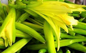 【黃花菜】黃花菜的營養價值_黃花菜怎么做好吃_黃花菜的做法大全 【黃花菜】黃花菜的營養價值_黃花菜怎么做好吃_黃花菜的做法大全