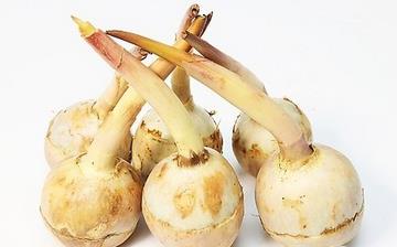 【慈菇】慈菇的功效與作用營養(yǎng)價值_慈菇怎么做好吃_慈菇的做法大全 【慈菇】慈菇的功效與作用營養(yǎng)價值_慈菇怎么做好吃_慈菇的做法大全