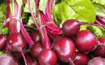 【甜菜】甜菜的功效與作用營養價值_甜菜怎么做好吃_甜菜的做法大全 【甜菜】甜菜的功效與作用營養價值_甜菜怎么做好吃_甜菜的做法大全