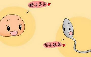 【卵子】卵子排出體外是什么樣_卵子多大排出_卵子檢查注意事項_卵子發育不好怎么辦 【卵子】卵子排出體外是什么樣_卵子多大排出_卵子檢查注意事項_卵子發育不好怎么辦