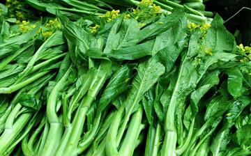 【菜心】菜心的功效與作用營(yíng)養(yǎng)價(jià)值_菜心怎么做好吃_菜心的做法大全 【菜心】菜心的功效與作用營(yíng)養(yǎng)價(jià)值_菜心怎么做好吃_菜心的做法大全