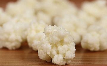 【雪蓮菌】雪蓮菌的營養(yǎng)價(jià)值_雪蓮菌的功效和作用_什么牌子的雪蓮菌好 【雪蓮菌】雪蓮菌的營養(yǎng)價(jià)值_雪蓮菌的功效和作用_什么牌子的雪蓮菌好