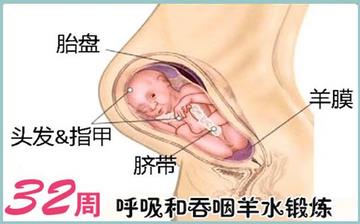 【懷孕32周】懷孕32周發育指標_懷孕32周胎兒變化_媽媽狀態_懷孕32周注意事項 【懷孕32周】懷孕32周發育指標_懷孕32周胎兒變化_媽媽狀態_懷孕32周注意事項