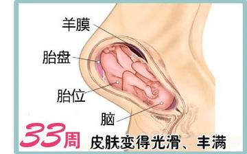 【懷孕33周】懷孕33周發(fā)育指標(biāo)_懷孕33周胎兒變化_媽媽狀態(tài)_懷孕33周注意事項(xiàng) 【懷孕33周】懷孕33周發(fā)育指標(biāo)_懷孕33周胎兒變化_媽媽狀態(tài)_懷孕33周注意事項(xiàng)