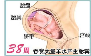 【懷孕38周】懷孕38周發育指標檢查_懷孕38周胎兒變化_媽媽狀態_懷孕38周注意事項 【懷孕38周】懷孕38周發育指標檢查_懷孕38周胎兒變化_媽媽狀態_懷孕38周注意事項