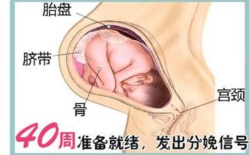 【懷孕40周】懷孕40周發育指標檢查_懷孕40周胎兒變化_媽媽狀態_懷孕40周注意事項 【懷孕40周】懷孕40周發育指標檢查_懷孕40周胎兒變化_媽媽狀態_懷孕40周注意事項