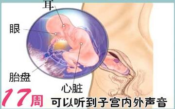 【懷孕17周】懷孕17周癥狀_懷孕17周胎兒圖片_B超數據_懷孕17周吃什么補身體 【懷孕17周】懷孕17周癥狀_懷孕17周胎兒圖片_B超數據_懷孕17周吃什么補身體