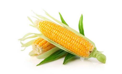 玉米有什么營養價值？玉米的美味做法