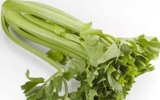 男性多吃芹菜可避孕 是有科學根據的