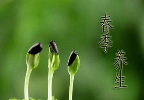 一年之計在于春，不得不知的春季養生常識