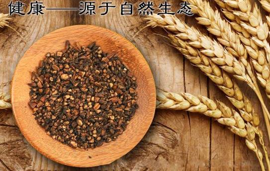 什么人不能喝大麥茶呢？ ?