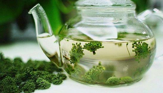三七茶的功效與作用 功能竟如此強大