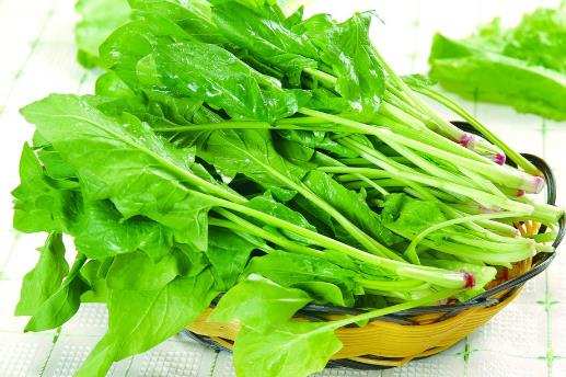 春季養生吃什么？這7種食物最適合春