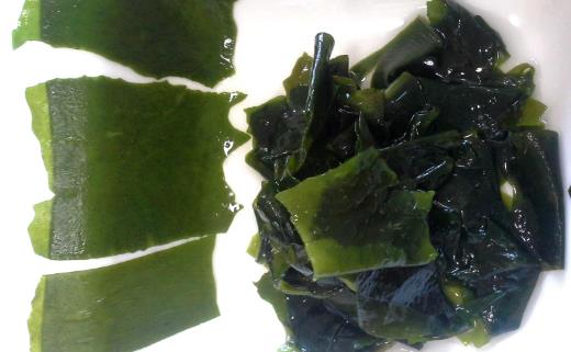 食物有助提高免疫力？9種食物不可錯過！