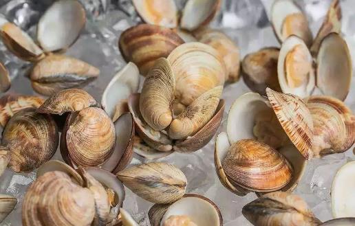 這六類食物吃多了易得腎結(jié)石！