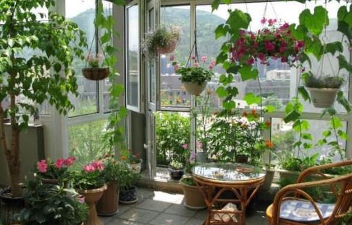 城市家庭陽臺養花 給花提供一個適合生長的環境