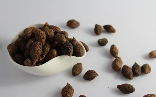 胖大海的來(lái)源和作用 幾類(lèi)病癥不適喝胖大海