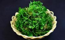 野菜純天然有營養 野菜的多種做法