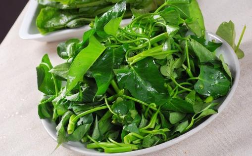 空心菜用油炒過后顏色發黑，這是“有毒物質”嗎？營養師