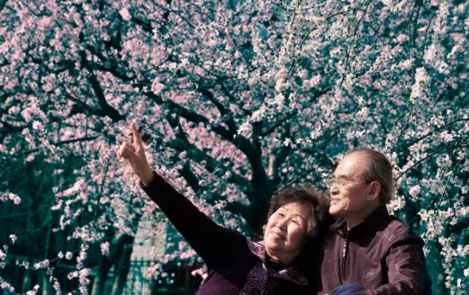 提高老人幸福感 經(jīng)常聚會的老人幸福感更強(qiáng)