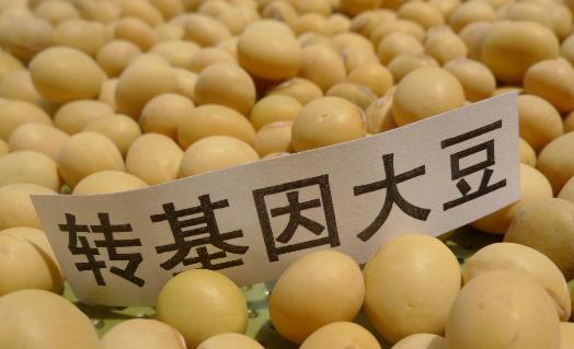 轉基因技術的安全性分析 生產轉基因食品的原因
