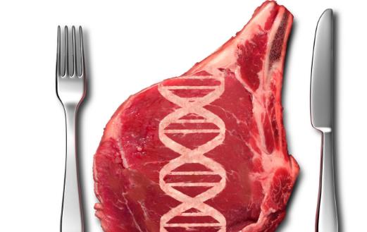 轉基因技術的安全性分析 生產轉基因食品的原因