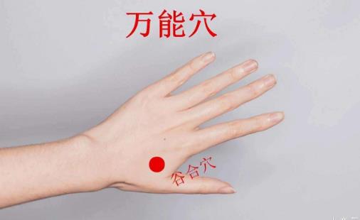 人體與生帶有自強的按鈕 推拿按摩4大穴位強身健體