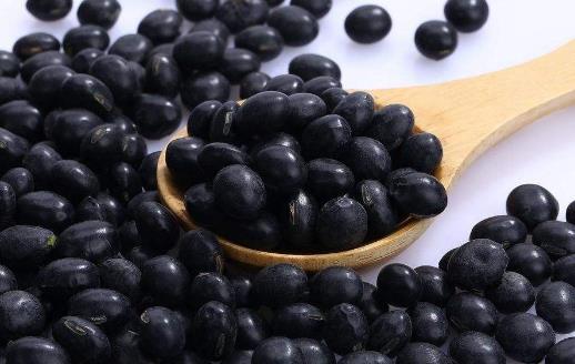 黑豆是很好的肌膚美容之品 黑豆最營養(yǎng)搭配