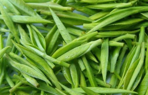 不用節食還能減肥 10種減肥食材讓你得到最完美身材