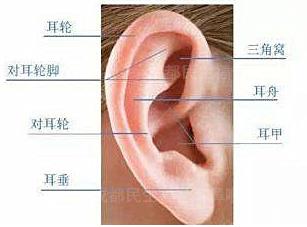 新生兒耳廓畸形能矯正嗎？看成都民生耳鼻喉醫院如何支招