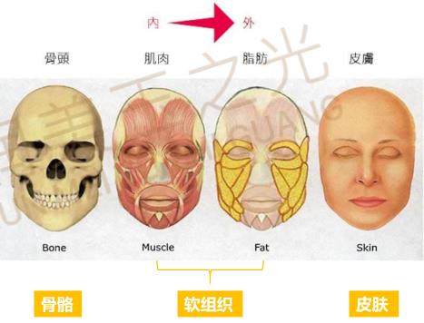 自體多肽脂肪實現新突破，塑造無法復制的自然美