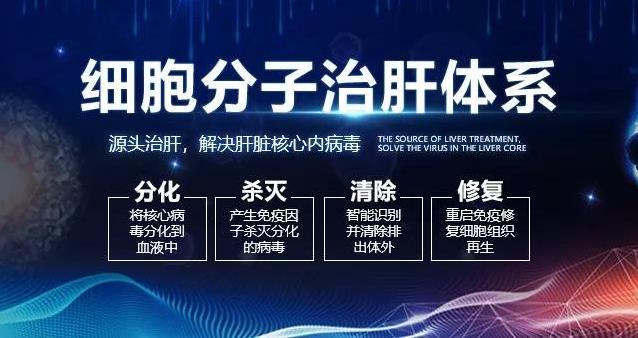 細(xì)胞分子治肝體系治療乙肝的流程