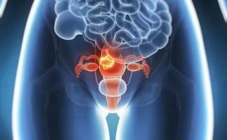 華明基因檢測預防衰老，女人保養好卵巢非常重要！
