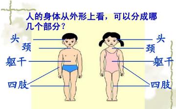【身體部位】身體部位圖_女生男生身體部位介紹_身體有哪些部位 【身體部位】身體部位圖_女生男生身體部位介紹_身體有哪些部位
