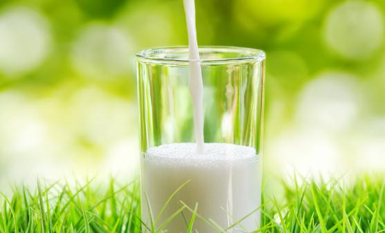 飲用牛奶當中的十中誤區(qū) 方法不對牛奶也會變得沒營養(yǎng)