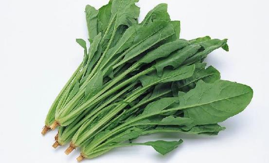 菠菜的營養(yǎng)價值 激活大腦功能增強(qiáng)青春活力
