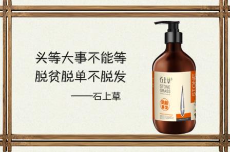 石上草：脫發怎么辦？用什么洗發水好？