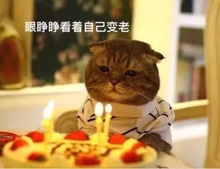 不同類型的肉冷凍保存時間不同，吃僵尸肉有危害嗎，如何辨別