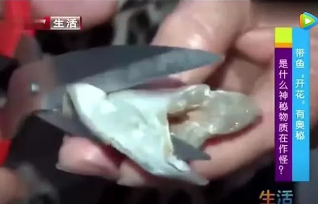 甲醛浸泡過的帶魚一碰熱油就扭曲、炸裂“開花”，千萬別買別吃