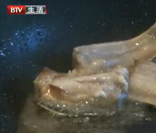 甲醛浸泡過的帶魚一碰熱油就扭曲、炸裂“開花”，千萬別買別吃